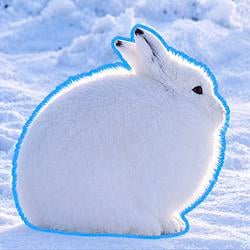 Artic / SOL