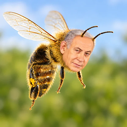 BeeBee