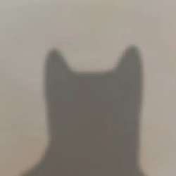 ZINU