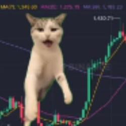 ben这畜生台 100sell都按不了 / BNB