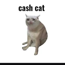CC