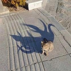 CATULHU / SOL