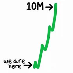 10M