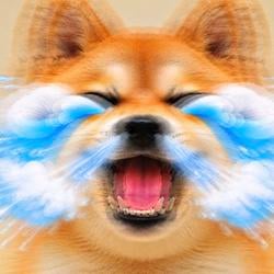 INUMAO