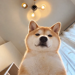 InU