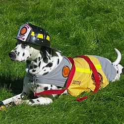 firedog