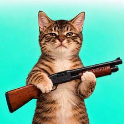 PUMPCAT / WETH