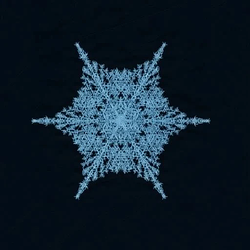 RIME