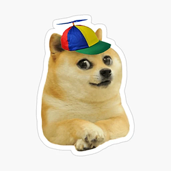 KIDDOGE / SOL