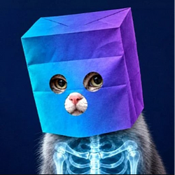 Ray