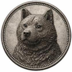 Dogshit