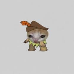 minirobin