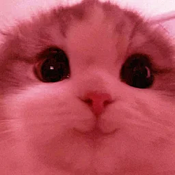 HEHE