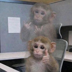 APE