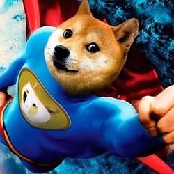 Doge