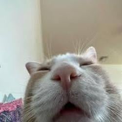 Catchuuuu