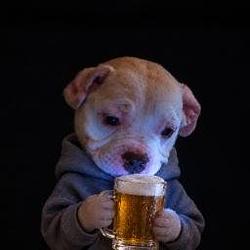 phubbeer