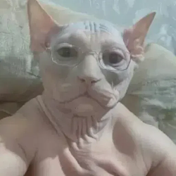 UP