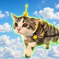 Flycat