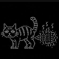 cash cat