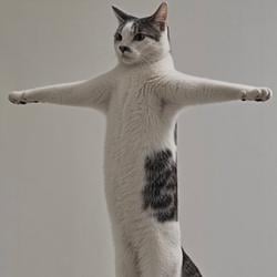 MESCAT