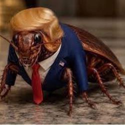 COCKTRUMP