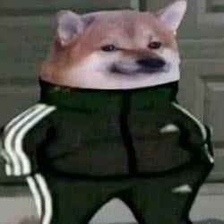 DOGE / SOL