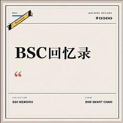 BSC回忆录