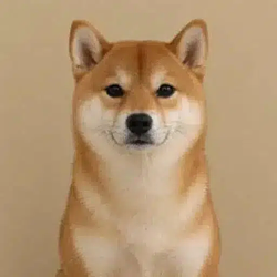 SI