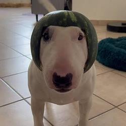 WALTER