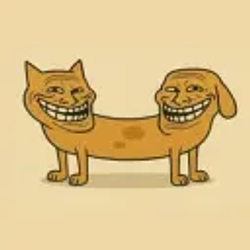 catdog / SOL