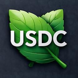 USDC Mint logo
