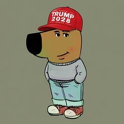 CHILL2028 / SOL