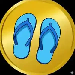flip-flops / BNB