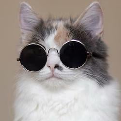 MCAT / SOL