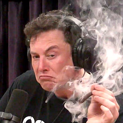 MUSK