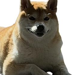 BONK2.0