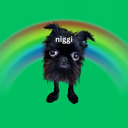 niggi / SOL