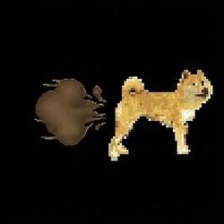 DOGEFART / SOL