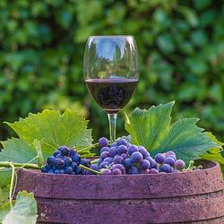 WINE