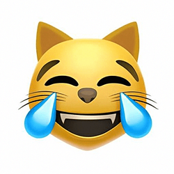 😹 / SOL