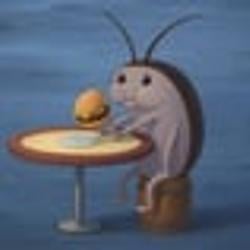 Roach / SOL