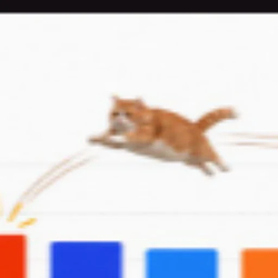 CHONK