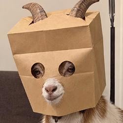 RAM