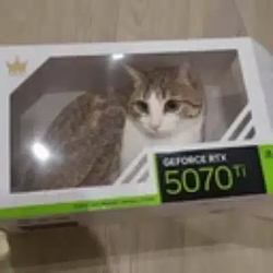 Gato Processing Unit