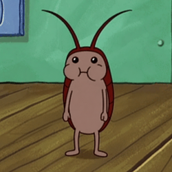 cockroach