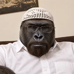 NOBANANA