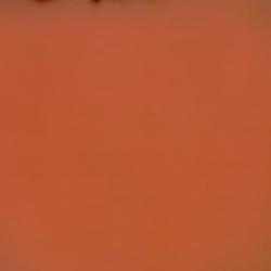 EVERYONE:TLISSOBORINGRN,WHAT'SEV logo
