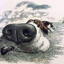 SNIFF