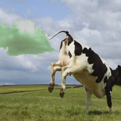 FatCow